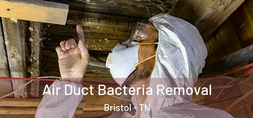  Air Duct Bacteria Removal Bristol - TN