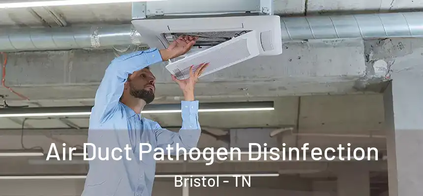  Air Duct Pathogen Disinfection Bristol - TN