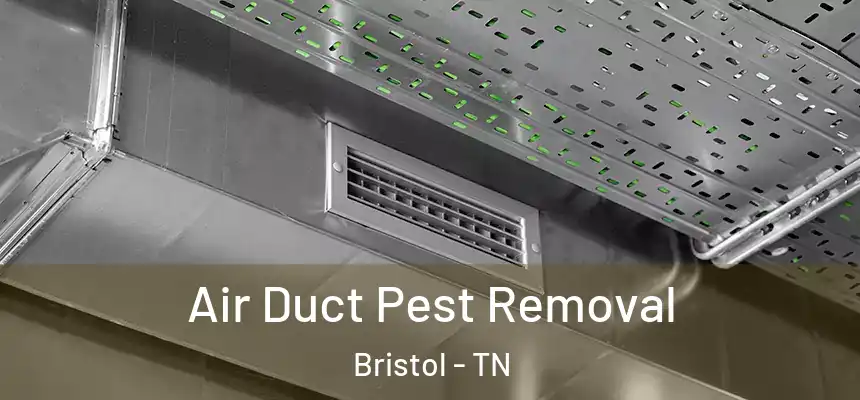  Air Duct Pest Removal Bristol - TN