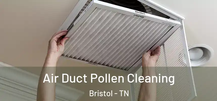  Air Duct Pollen Cleaning Bristol - TN
