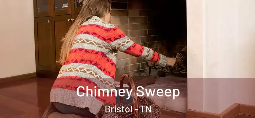  Chimney Sweep Bristol - TN