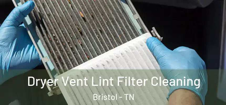  Dryer Vent Lint Filter Cleaning Bristol - TN
