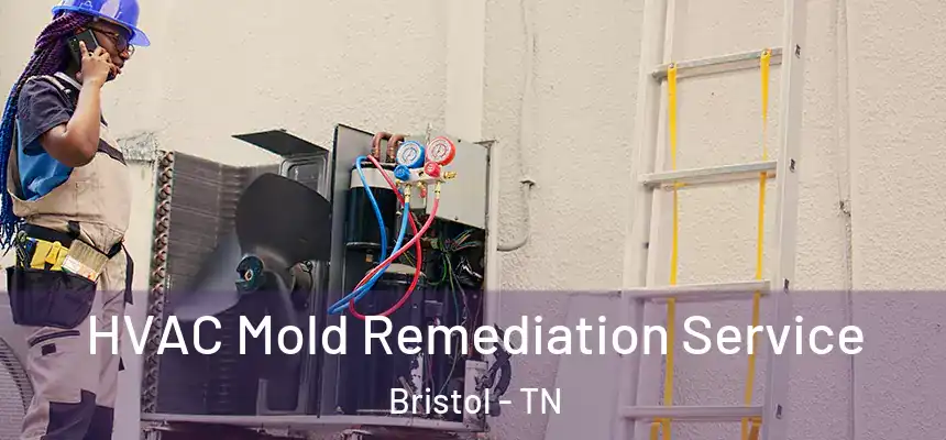  HVAC Mold Remediation Service Bristol - TN