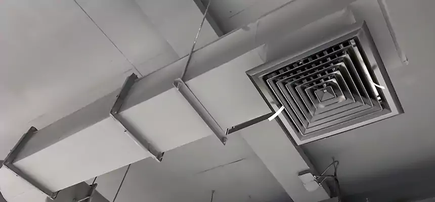 Our Pest Removal From Ducts Services in Bristol, TN