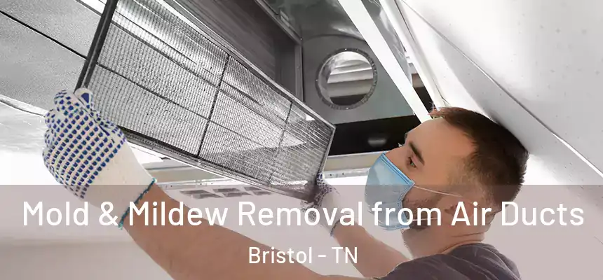  Mold & Mildew Removal from Air Ducts Bristol - TN