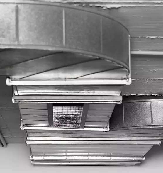 Professional Air Duct Pest Removal in Bristol, TN