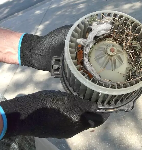 About Air Duct Rat Removal in Bristol, TN