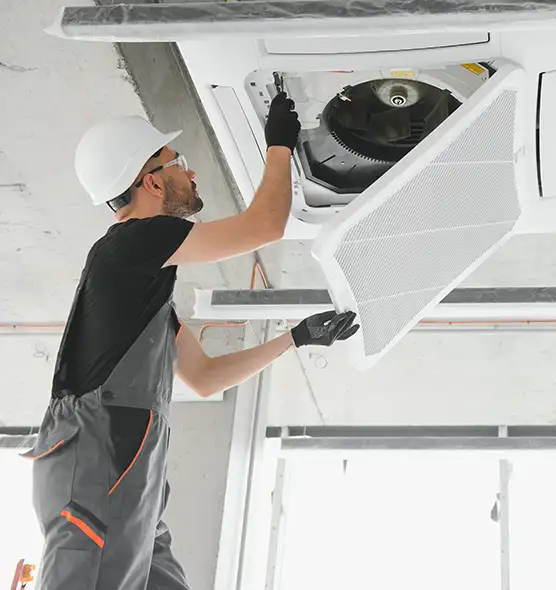 About Air Duct Rodent Removal in Bristol, TN