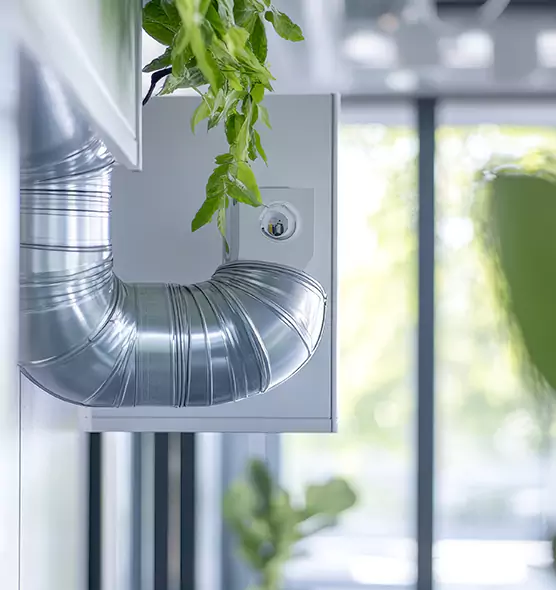 Professional Eco-Safe Dryer Vent Cleaning in Bristol, TN