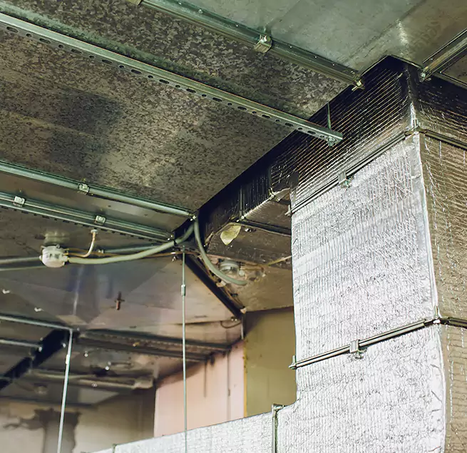 Why Homeowners & Businesses Trust Us in Bristol, TN?