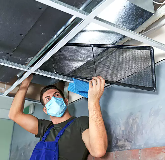 Why Homeowners Businesses Trust Us in Bristol, TN